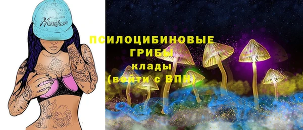 МДПВ Вязьма