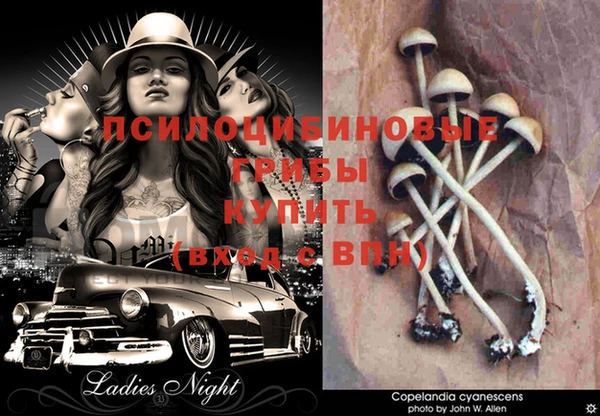 МДПВ Вязьма