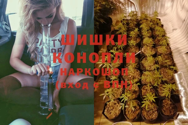 МДПВ Вязьма